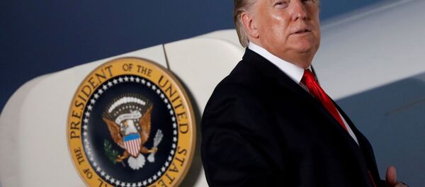 ترامپ رئیس جمهور ابدی می شود ترامپ رئیس جمهور ابدی می شود - اسپوتنیک ایران