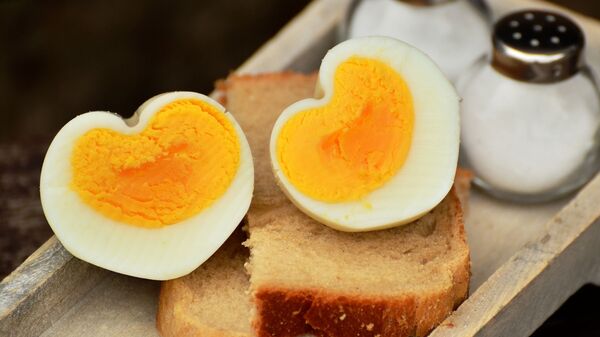 شما در هفته چند عدد تخم مرغ می توانید بخورید؟  - اسپوتنیک ایران  