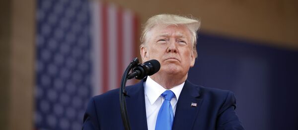 ترامپ: قادریم تا اقتصاد ترکیه را از صفحه روزگار محو کنیم ترامپ: قادریم تا اقتصاد ترکیه را از صفحه روزگار محو کنیم - اسپوتنیک ایران