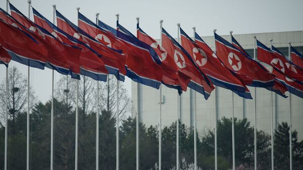 پرچم های کره شمالی  - اسپوتنیک ایران  