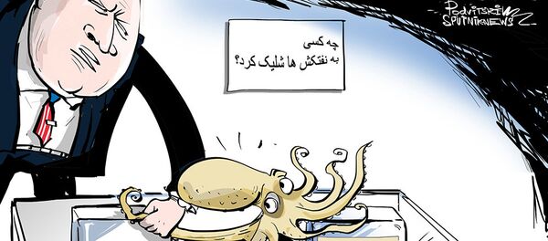 پمپئو: ایران مسئول حمله به نفتکشها در دریای عمان است پمپئو: ایران مسئول حمله به نفتکشها در دریای عمان است - اسپوتنیک ایران