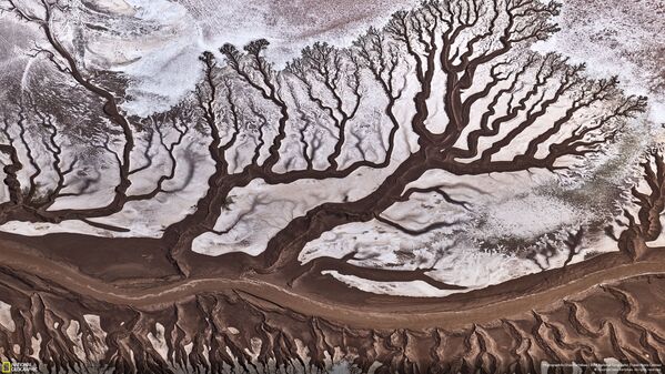 عکس Colorado River  عکاس Stas Bartnikas در بخش طبیعت - اسپوتنیک ایران  