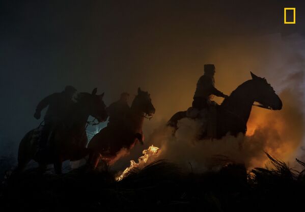 عکس اسبها عکاس Yoshiki Fujiwara نفر دوم در بخش مردم - اسپوتنیک ایران  