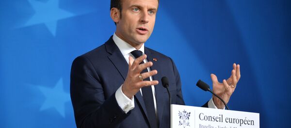 مکرون: ناتو دچار مرگ مغزی شده - اسپوتنیک ایران  