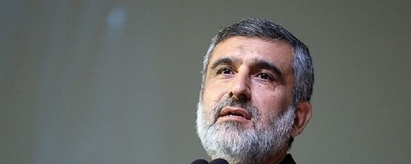 فرمانده هوافضای سپاه: بعد از شنیدن خبر سقوط هواپیمای اوکراینی آرزوی مرگ کردم - اسپوتنیک ایران  