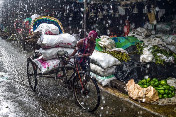 ریکشا زیر باران در بنگلادش - اسپوتنیک ایران  