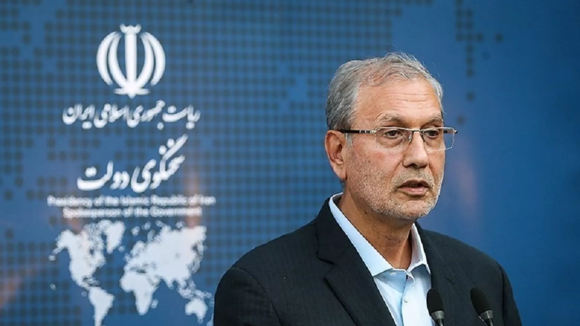 علی ربیعی، سخنگوی دولت ایران
