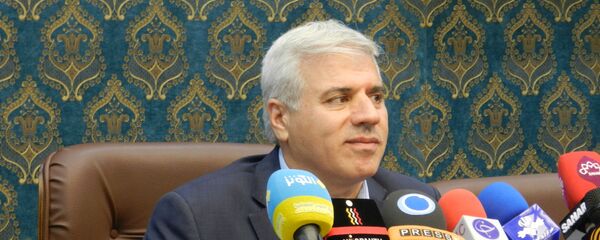 دکتر محمد حسن طالبیان معاون سازمان میراث فرهنگی، صنایع دستی و گردشگری ایران - اسپوتنیک ایران  