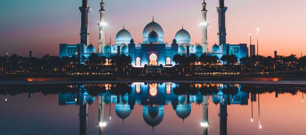 نکوهش عملیات ترکیه و ایران در عراق از سوی امارات  - اسپوتنیک ایران  