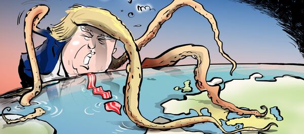 واکنش ظریف به ادعای سرنگونی پهپاد ایرانی واکنش ظریف به ادعای سرنگونی پهپاد ایرانی - اسپوتنیک ایران