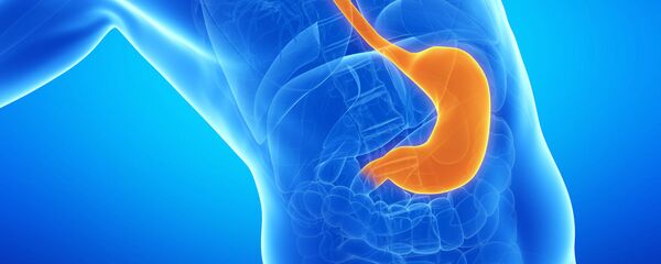 علائم اوليه سرطان لوز المعده چيست؟  - اسپوتنیک ایران  