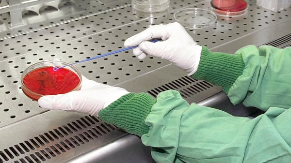 آزمایش باکتری در آزمایشگاه - اسپوتنیک ایران  