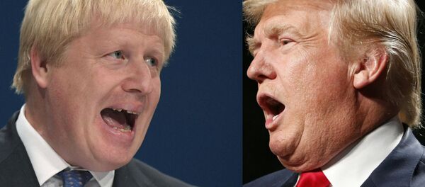 بوریس جانسون ترامپ انگلیس نیست بوریس جانسون ترامپ انگلیس نیست - اسپوتنیک ایران