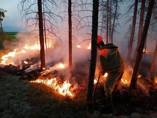 کارمندان وزارت حفاظت از منابع طبیعی جمهوری ساخا (یاکوتیا) در حال مبارزه با آتش‌سوزی - اسپوتنیک ایران  