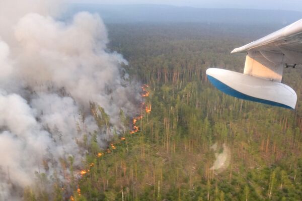 آتش سوزی در جنگل‌های منطقه بوگوچانسکی کراسنویارسک  - اسپوتنیک ایران  