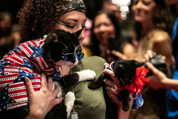 گربه‌های اشرافی و صاحبان آنها در نمایش مد سالانه نیویورک - اسپوتنیک ایران  