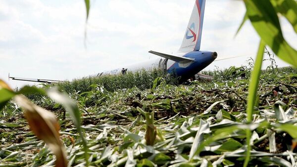برخورد پرنده‌ها با موتور هواپیمای مسافربری آ 321 باعث فرود اضطراری آن در مزرعه ذرت شد. - اسپوتنیک ایران  