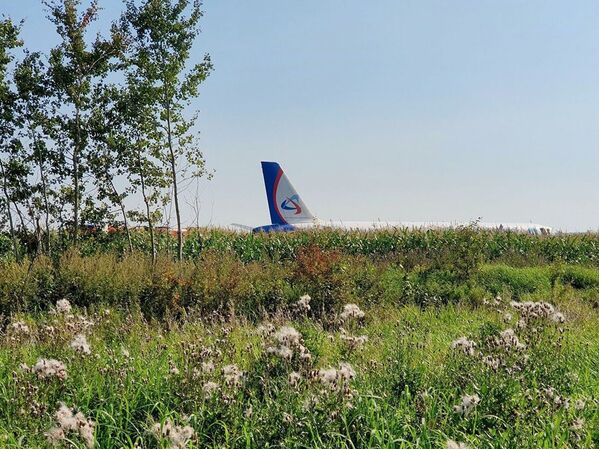 در پی فرود اضطراری یک فروند هواپیمای مسافربری روسیه در یک مزرعه ذرت در حومه شهر مسکو 23 نفر مصدوم شدند. - اسپوتنیک ایران  