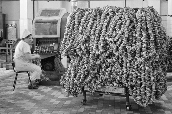 کارگری در کارخانه ، سال ۱۹۶۷ - اسپوتنیک ایران  