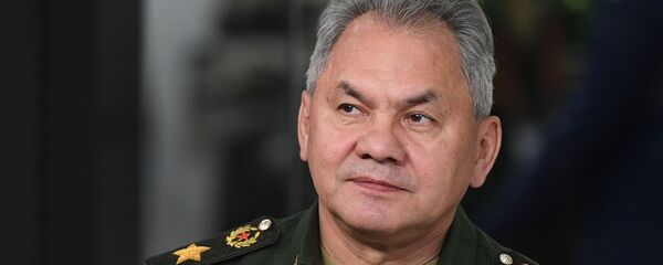  شایگو: اقدامات آمریکا در سوریه سرقت غیرقانونی نفت است  - اسپوتنیک ایران  