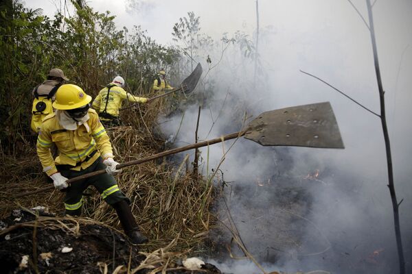 شهر پورتو ولیو در برزیل در خطر آتش سوزی - اسپوتنیک ایران  