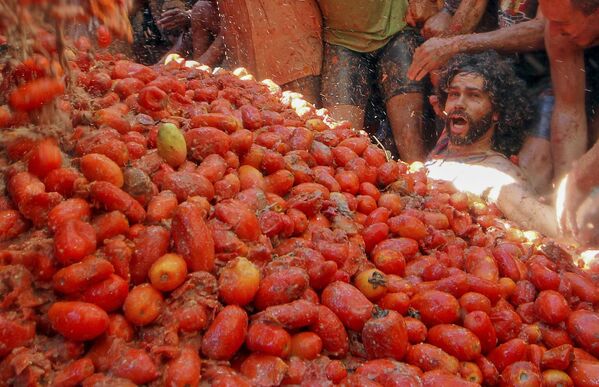 در فستیوال گوجه فرنگی در اسپانیا، مردم به سمت یکدیگر گوجه پرتاب می کنند - اسپوتنیک ایران  