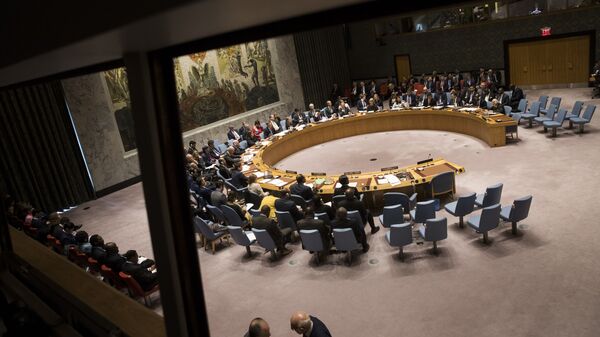 رد قطعنامه تحریم تسلیحاتی آمریکا علیه ایران در شورای امنیت - اسپوتنیک ایران  