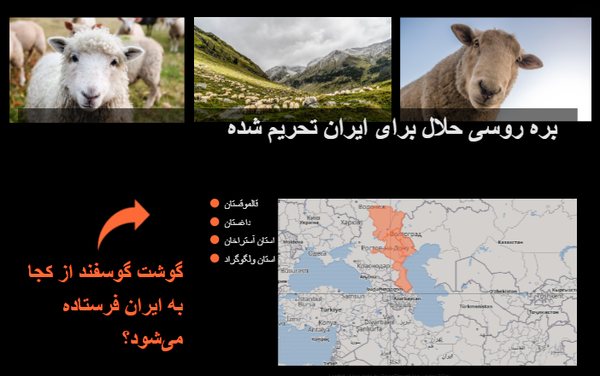 چرا ایرانی ها به گوشت گوسفند حلال روسیه علاقمند هستند؟ + داده نمایی - اسپوتنیک ایران  