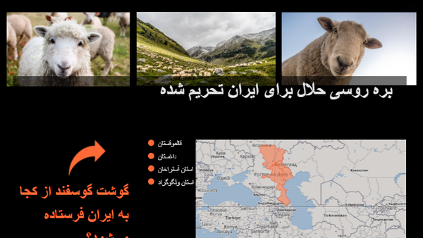 چرا ایرانی ها به گوشت گوسفند حلال روسیه علاقمند هستند؟ + داده نمایی - اسپوتنیک ایران  