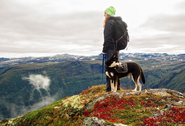توریستی با سگش در کوه های نروژ - اسپوتنیک ایران  