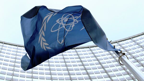 تلاش آمریکا برای تاثیر بر آژانس بین المللی انرژی اتمی - اسپوتنیک ایران  
