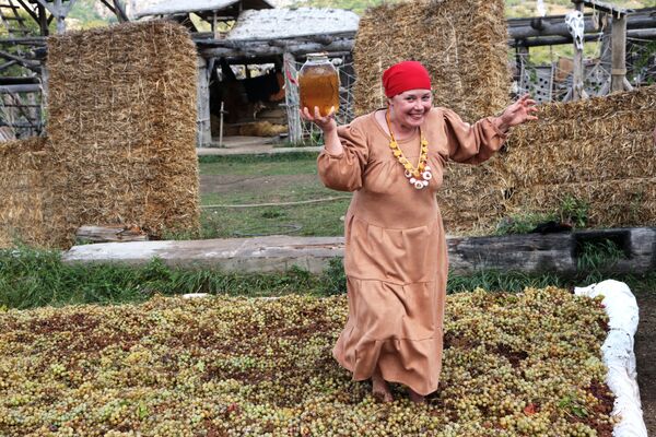 جشن انگور در پارک تعاملی ویکینگ در شبه جزیره کریمه  - اسپوتنیک ایران  