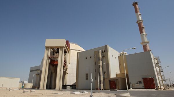 تحویل محموله جدید سوخت هسته ای به نیروگاه بوشهر تا ماه سپتامبر - اسپوتنیک ایران  