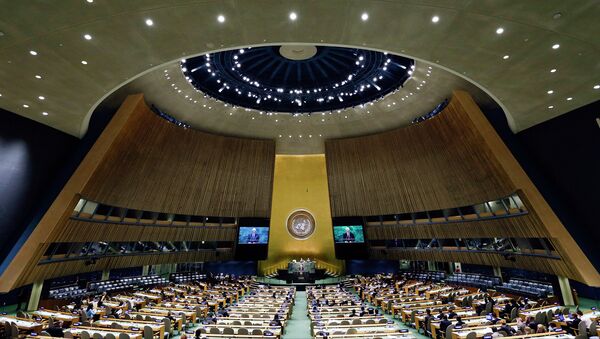 مجمع عمومی سازمان ملل - اسپوتنیک ایران  