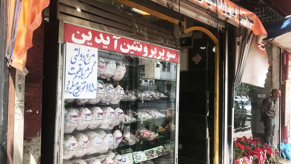 اعلام دلایل گرانی مرغ در ایران  - اسپوتنیک ایران  