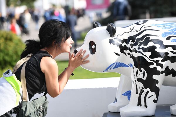 نمایشگاه پاندای چینی در فستیوال فرهنگی چین در مسکو - اسپوتنیک ایران  