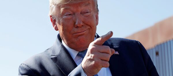 ترامپ: زمان خاتمه دادن به حضور آمریکا  در سوریه فرا رسیده است - اسپوتنیک ایران  