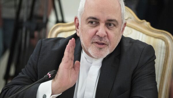 واکنش ظریف به طرح مذاکره‌ مجدد بر سر مسئله هسته‌ای ایران - اسپوتنیک ایران  