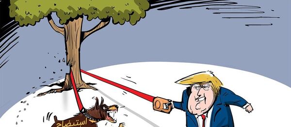 شانسی برای استیضاح ترامپ وجود ندارد شانسی برای استیضاح ترامپ وجود ندارد - اسپوتنیک ایران