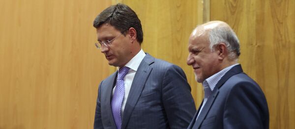 زنگنه وارد وین شد زنگنه وارد وین شد - اسپوتنیک ایران