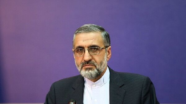 سخنگوی قوه قضاییه ایران: کیفرخواست همدستان زم به دادگاه ارسال شده است - اسپوتنیک ایران  