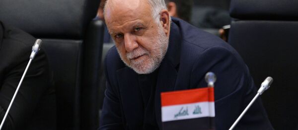 زنگنه به اسپوتنیک: احتمالا 2 پالایشگاه پتروشیمی در دریای خزر بسازیم زنگنه به اسپوتنیک: احتمالا 2 پالایشگاه پتروشیمی در دریای خزر بسازیم - اسپوتنیک ایران