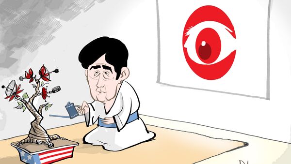 سازمان امنیت ملی آمریکا از نخست وزیر آبه و شرکت های بزرگ ژاپن جاسوسی می کرد - اسپوتنیک ایران  