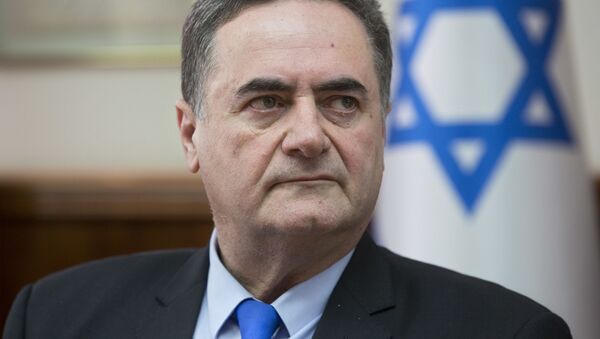 تاکید وزیر خارجه اسرائیل از اپوزیسیون ایران - اسپوتنیک ایران  
