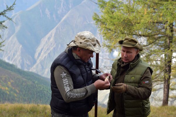 ولادیمیر پوتین و سرگئی شایگو، رئیس جمهور و وزیر دفاع روسیه در تایگا (جنگل های شمال سیبری) - اسپوتنیک ایران  