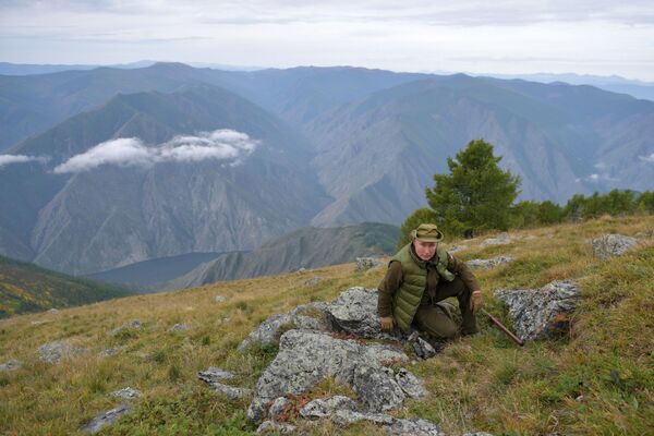 ولادیمیر پوتین، رئیس جمهور روسیه در تایگا (جنگل های شمال سیبری) - اسپوتنیک ایران  