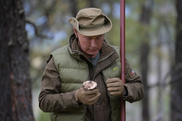 ولادیمیر پوتین، رئیس جمهور روسیه در تایگا (جنگل های شمال سیبری) - اسپوتنیک ایران  