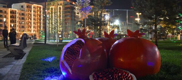 انار سمبل ثروت و خوشبختی - اسپوتنیک ایران  