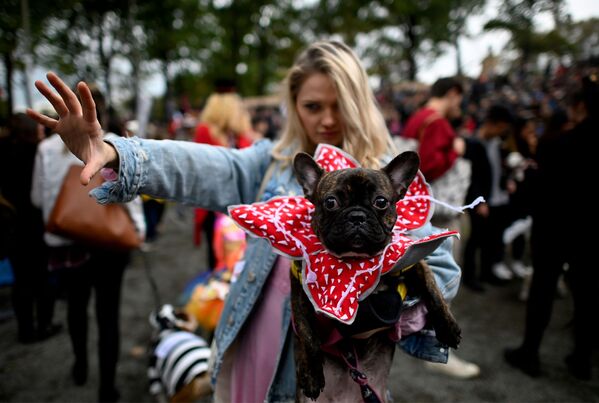 سگ ها در نیویورک لباس هالووین بر تن کردند - اسپوتنیک ایران  