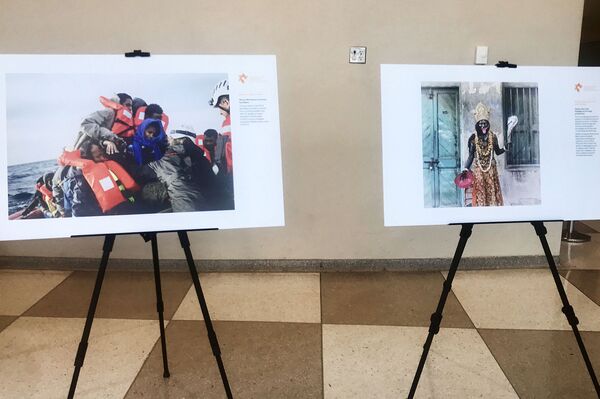 افتتاحیه نمایشگاه عکاسان برتر مسابقه استنین در نیویورک - اسپوتنیک ایران  